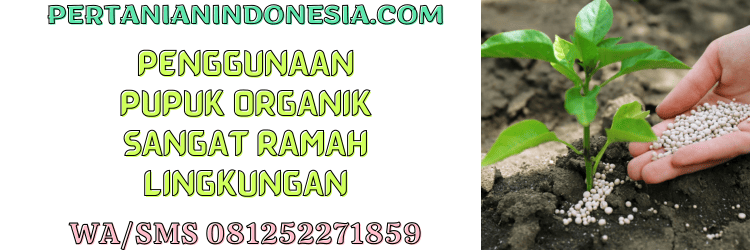 pupuk,organik,pupuk organik,pemupukan,pertanian indonesia